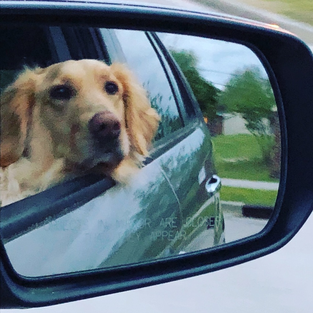 Meet your Posher, Trisha